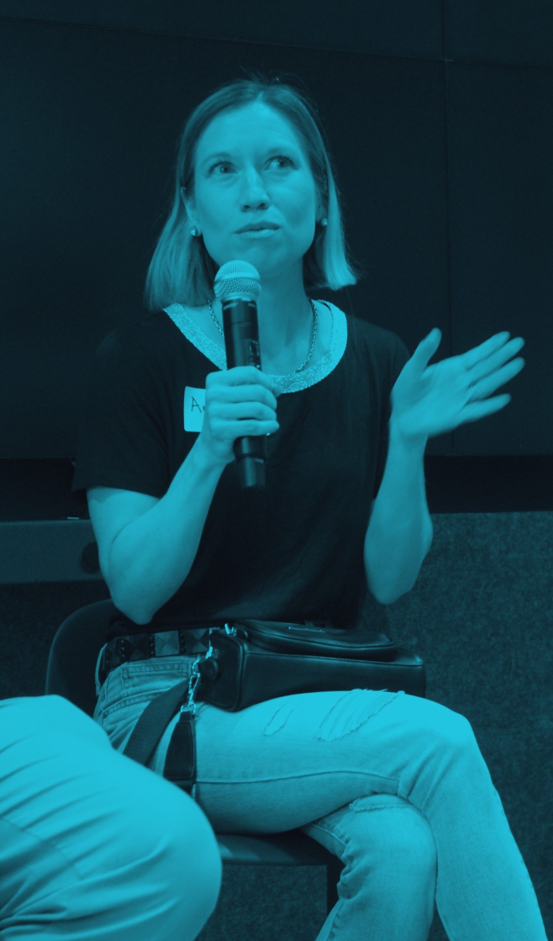 Amanda speaking on a panel